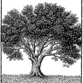 Κατανομή εργατικού δυναμικού δακοκτονίας&nbsp;2013