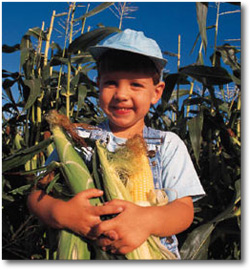 little_farmer_with_corn