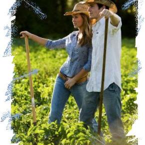 Πύργος: Κινδυνεύουν με απένταξη δεκάδες νέοι&nbsp;αγρότες