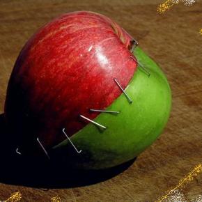 Ανοίγει το πρώτο σούπερ μάρκετ από&nbsp;αγρότες.