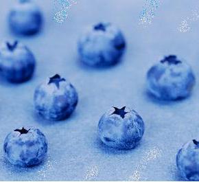 Πετυχημένο πολυσυνέδριο για Νέες&nbsp;Καλλιέργειες