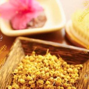 H καλλιέργεια του&nbsp;χαμομηλιού