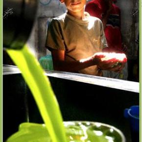 Απαγορεύεται με ευρωπαϊκή οδηγία το χύμα ελαιόλαδο στα&nbsp;εστιατόρια