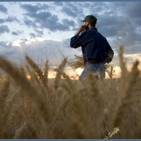 Καμιά επιδότηση σε αγρότες που δεν πληρώνουν&nbsp;εισφορές