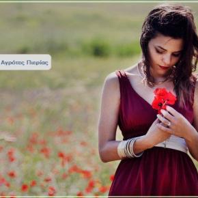 Νέοι Αγρότες Πιερίας: το μέλλον είναι στον&nbsp;συνεργατισμό