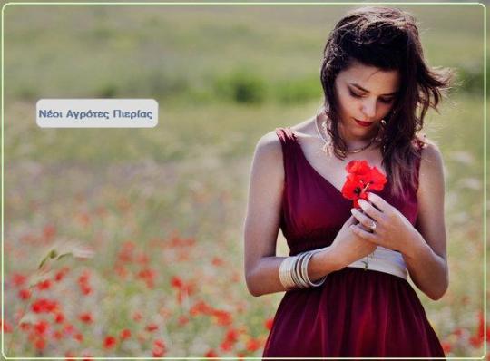 agrotes-neoi-pierias