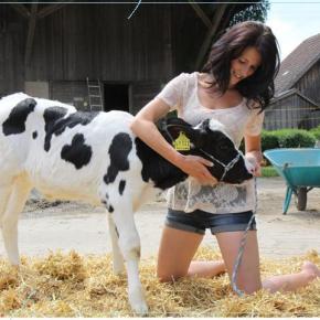 Ημερίδα: Οι Επιδοτήσεις μετά το&nbsp;2013