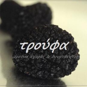 Ημερίδα για την Τρούφα, Σαλιγκαροτροφία&nbsp;κτλ
