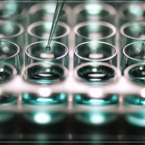 «Πράσινο φως» για καλλιέργεια μεταλλαγμένων στην&nbsp;Ευρώπη