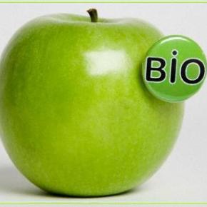 Στο Δικτύο των Ευρωπαϊκών  Βιολογικών Πόλεων o Δήμος&nbsp;Λοκρών