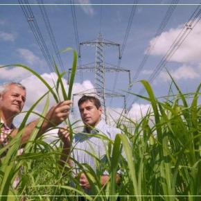 Καμία αύξηση στα τιμολόγια του αγροτικού&nbsp;ρεύματος