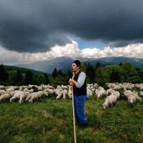 Αγανακτισμένοι οι κτηνοτρόφοι της&nbsp;Κρήτης