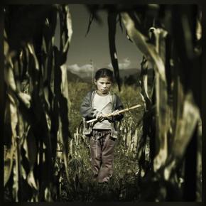 Ανακoίνωση ΕΟΑΣΝΛ για την τιμή&nbsp;καλαμποκιού