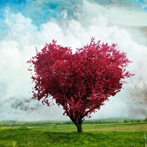 Στο «μικροσκόπιο» η Κοινή Αγροτική&nbsp;Πολιτική