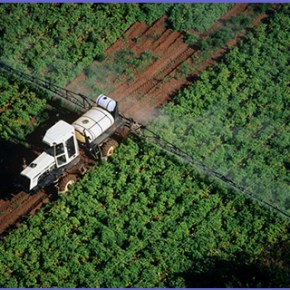 Μέτρα φυτοπροστασίας, αποφάσισε το Συμβούλιο Υπουργών Γεωργίας – Αλιείας της&nbsp;Ε.Ε