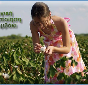 Γεωργικές Προειδοποιήσεις στο Βαμβάκι&nbsp;2014