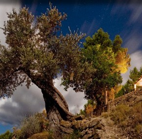 Καταστροφικό το χαλάζι στα&nbsp;Μέγαρα