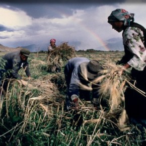 «Μπλόκο» στην ενιαία ενίσχυση για όσους έχουν αγροτεμάχια άνω των 10 χλμ απο την έδρα&nbsp;εκμετάλλευσης