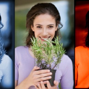 Άρωμα Ανάπτυξης στην&nbsp;Αργολίδα