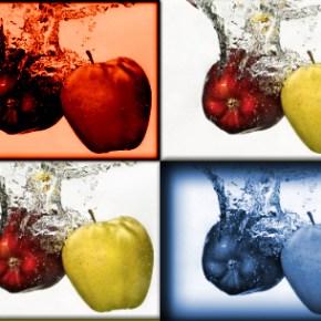 Ημερίδα με Θέμα Συγκαλλιέργεια Δέντρων με Γεωργικά&nbsp;Φυτά