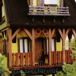 Μελισσοκομία στην Πολωνία&nbsp;[βίντεο]