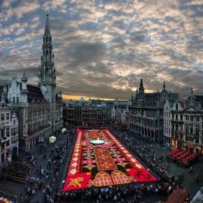 Χαλί απο λουλούδια&nbsp;[βίντεο]