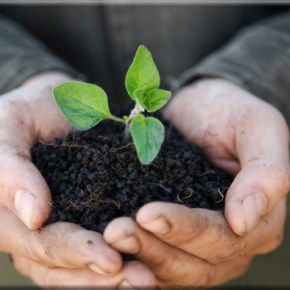Επιστολή Γεωπονικού Συλλόγου Λάρισας για Αγροπεριβαλλοντικά