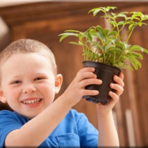 Πρόγραμμα Ημερίδων “Ο ΚΗΠΟΣ ΜΟΥ&nbsp;2012″