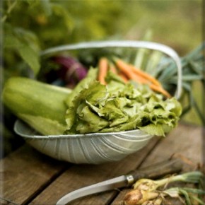 Εξειδικευμένα Σεμινάρια – Workshop της&nbsp;ΠΕΕΓΕΠ