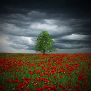 Ημερίδα για την Κοινή Αγροτική&nbsp;Πολιτική