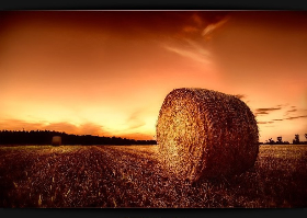 Είναι η επιστροφή στην Ύπαιθρο η διέξοδος απο την κρίση ;&nbsp;[βίντεο]