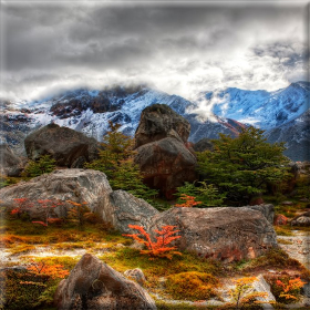 Ημερίδα Ενεργών Μικροοργανισμών