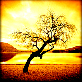 Hμερίδα δενδροκομίας στα&nbsp;Τρικάλα