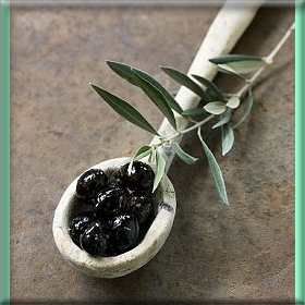 Ημερίδα για την Ελιά & τα&nbsp;Όσπρια