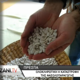 Ολοκληρωτική καταστροφή στα Φασόλια της Πρέσπας&nbsp;[βίντεο]