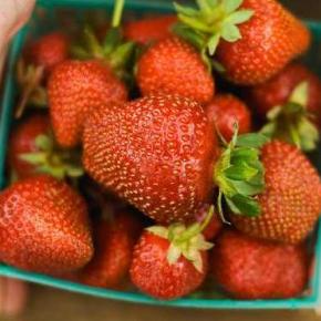 Νέοι Αγρότες και Δίκτυα παραγωγών-καταναλωτών