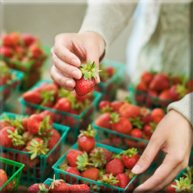 Φθηνότερες έως 50% οι αγροτικές&nbsp;λαϊκές