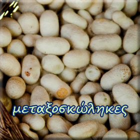 Σύγχρονη μονάδα παραγωγής νήματος θα δημιουργηθεί στο&nbsp;Σουφλί