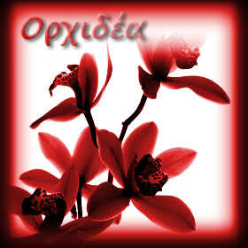 Η καλλιέργεια της Ορχιδέας στην&nbsp;Ελλάδα