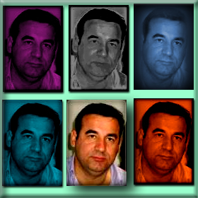 Εκμπομπή για το λάδι της&nbsp;Αγριελιάς