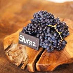 Ημερίδα στην Νάουσα για τις νέες τεχνικές&nbsp;οινοποίησης