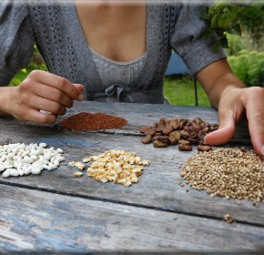 Πανευρωπαϊκή κινητοποίηση για την ελευθερία των&nbsp;σπόρων