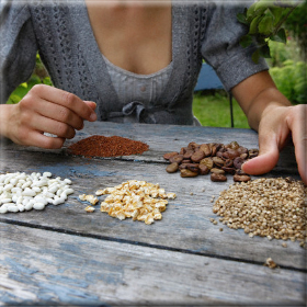 Βίντεο ημερίδας : Ανοιξιάτικη γιορτή ντόπιων σπόρων Ενημέρωση και&nbsp;ανταλλαγή