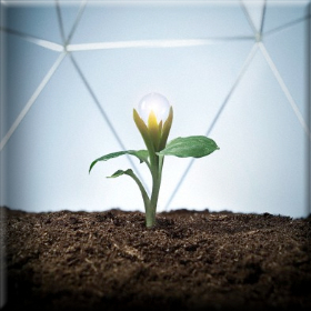 «Ημέρα Πληροφόρησης»για τα Δικτυοκήπια και τα&nbsp;κηπευτικά