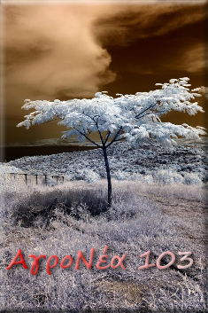 αγρονεα103