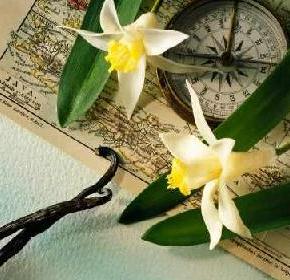 Μαγειρεύοντας … καλλυντικά με Γοργόνες &&nbsp;Μάγκες