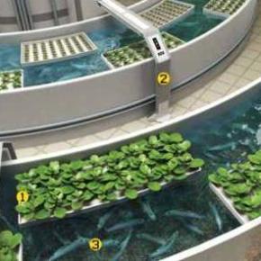 Συστήματα ενυδρειοπονίας  [βίντεο]