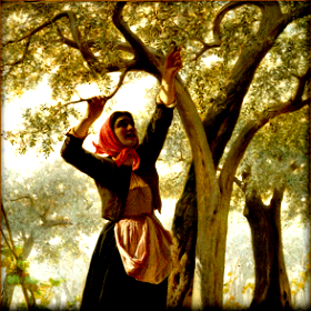 Ημερίδα για την Ελιά, Αμπέλι και την διατροφή του 2050 στην&nbsp;Κομοτηνή