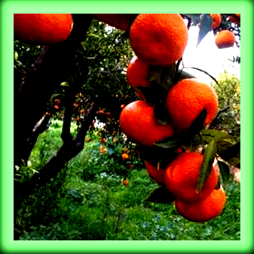 Πρόταση για συγκρότηση  «ΟΜΑΔΑΣ ΑΝΑΠΤΥΞΙΑΚΗΣ&nbsp;ΠΡΩΤΟΒΟΥΛΙΑΣ»