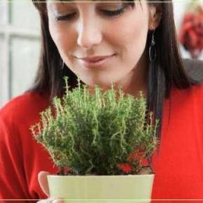 Η ΚΑΛΛΛΙΕΡΓΕΙΑ ΤΟΥ&nbsp;ΘΥΜΑΡΙΟΥ